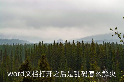 word文檔打開之后是亂碼怎么解決