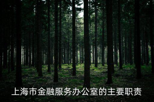 上海市金融服務辦公室的主要職責