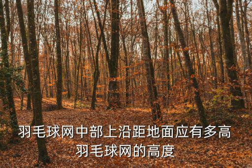 羽毛球網(wǎng)多高,關于羽毛球的規(guī)則有哪些?