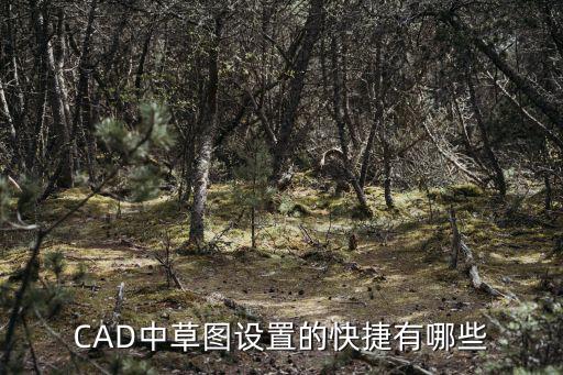 CAD中草圖設置的快捷有哪些