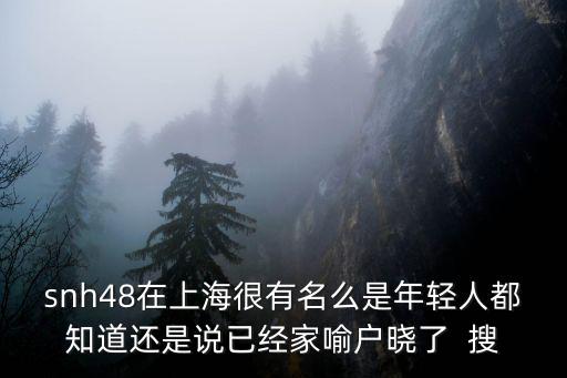 snh48在上海很有名么是年輕人都知道還是說已經(jīng)家喻戶曉了  搜
