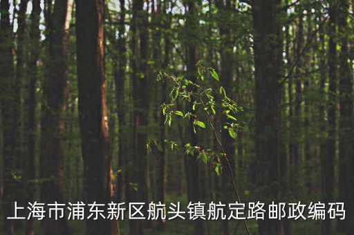上海市航頭鎮(zhèn)航鶴路999弄582號，上海市浦東新區(qū)航頭鎮(zhèn)航定路郵政編碼