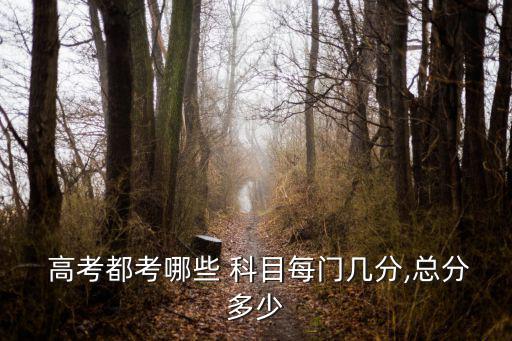 高考科目安排,新高考改革區(qū)域考試成績計(jì)入總分