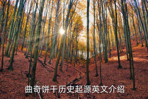 手工曲奇,英文曲奇來自英格蘭意為不太薄的雞蛋我國也可以制作