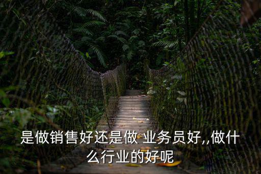 做什么業務員好,財務和軟件行業分析師職業規劃