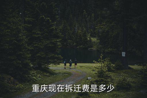 重慶市支坪拆遷，重慶現(xiàn)在拆遷費是多少