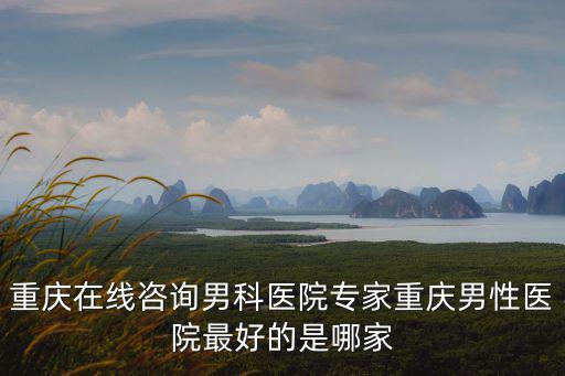 重慶市男科醫院在線咨詢，重慶在線咨詢男科醫院專家重慶男性醫院最好的是哪家
