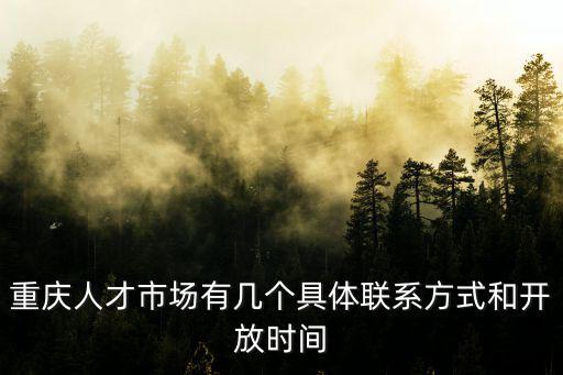 重慶人才市場有幾個具體聯系方式和開放時間