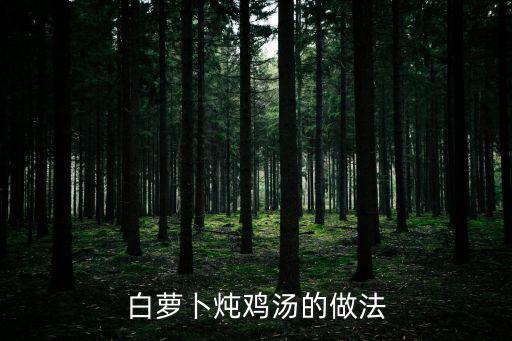 白蘿卜燉雞湯的做法