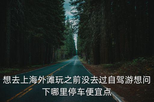 想去上海外灘玩之前沒去過自駕游想問下哪里停車便宜點