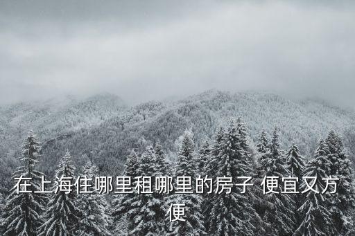 上海市黃浦斜土路區租了房子，上海黃浦區租房