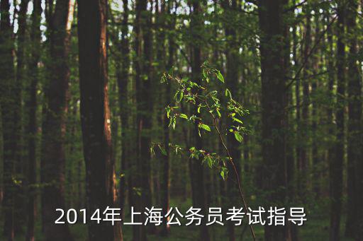 上海市考A類備考指南，我是應(yīng)屆畢業(yè)生要報(bào)考上海公務(wù)員報(bào)名資料中有一項(xiàng)已獲得國(guó)家司