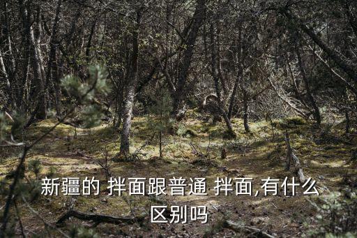  新疆的 拌面跟普通 拌面,有什么區別嗎