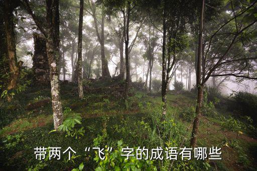 飛沙走礫,明年27日沒有語文字典出爐!