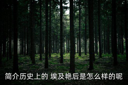 簡介歷史上的 埃及艷后是怎么樣的呢