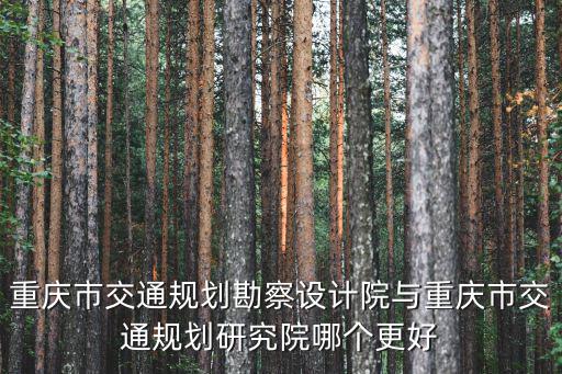 重慶市交通規(guī)劃勘察設(shè)計(jì)院與重慶市交通規(guī)劃研究院哪個(gè)更好