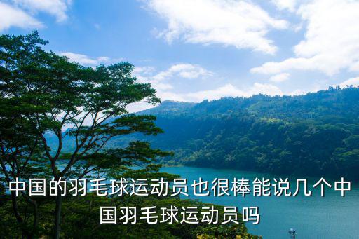 中國(guó)羽毛球運(yùn)動(dòng)員，中國(guó)羽毛球男單排名