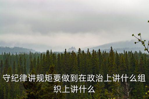 講規矩有紀律，講政治有信念 講規矩 有紀律 來源哪里