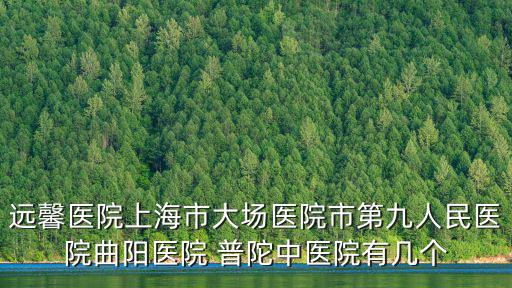 遠馨醫(yī)院上海市大場醫(yī)院市第九人民醫(yī)院曲陽醫(yī)院 普陀中醫(yī)院有幾個