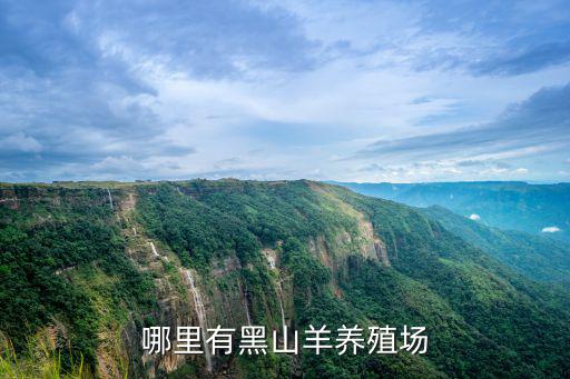 哪里有黑山羊養殖場