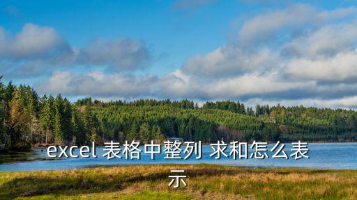 excel 表格中整列 求和怎么表示