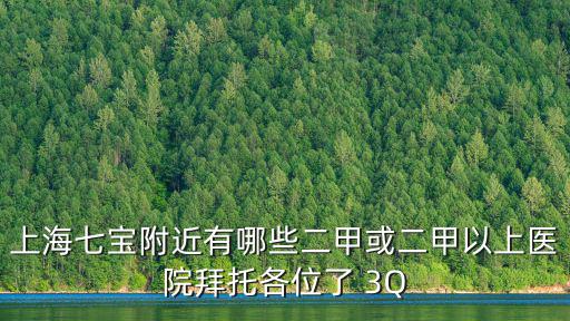 上海七寶附近有哪些二甲或二甲以上醫院拜托各位了 3Q