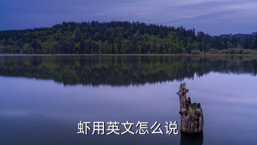 蝦用英文怎么說(shuō)