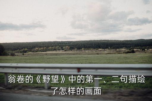  翁卷的《野望》中的第一、二句描繪了怎樣的畫面