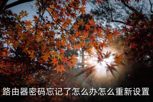路由器密碼忘記了怎么辦怎么重新設置