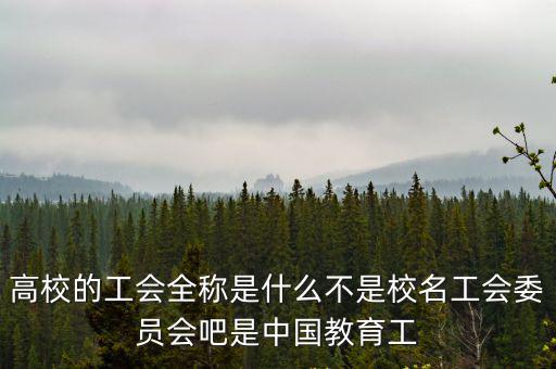 高校的工會全稱是什么不是校名工會委員會吧是中國教育工