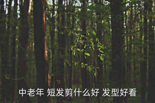 中老年 短發(fā)剪什么好 發(fā)型好看
