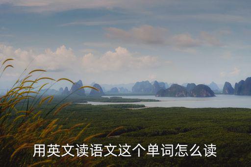 用英文讀語文這個單詞怎么讀