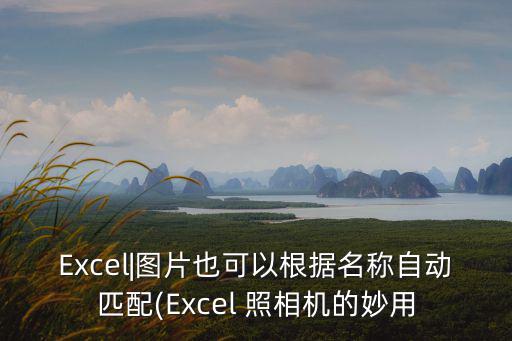 Excel|圖片也可以根據名稱自動匹配(Excel 照相機的妙用