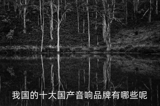 我國的十大國產音響品牌有哪些呢
