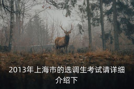 2013年上海市的選調(diào)生考試請(qǐng)?jiān)敿?xì)介紹下