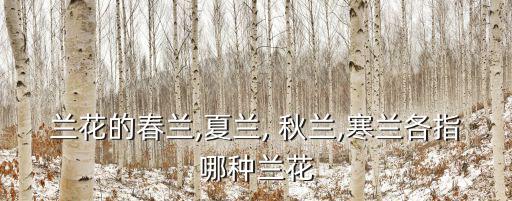 蘭花的春蘭,夏蘭, 秋蘭,寒蘭各指哪種蘭花