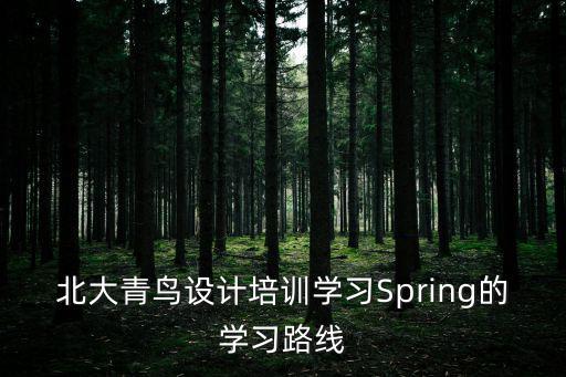 北大青鳥設計培訓學習Spring的學習路線
