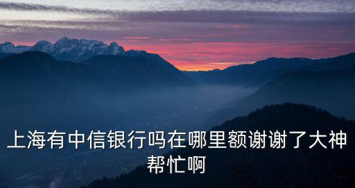 上海有中信銀行嗎在哪里額謝謝了大神幫忙啊