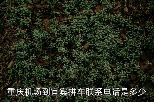 重慶機場到宜賓拼車聯系電話是多少