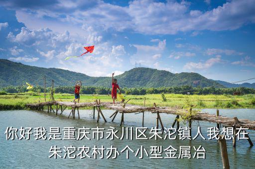 你好我是重慶市永川區(qū)朱沱鎮(zhèn)人我想在朱沱農(nóng)村辦個小型金屬冶