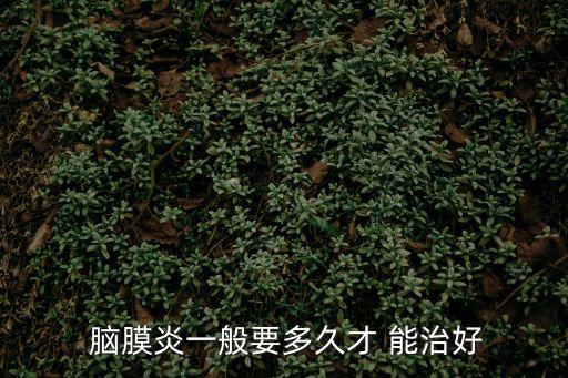 腦膜炎能治好嗎,細菌性腦膜炎是一種危及生命的疾病應立即治療
