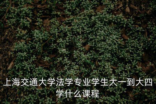 上海交通大學(xué)法學(xué)專業(yè)學(xué)生大一到大四學(xué)什么課程