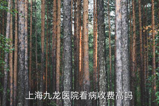 上海九龍醫院看病收費高嗎