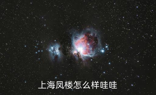 上海鳳樓怎么樣哇哇