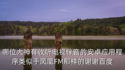 哪位大神有收聽電視伴音的安卓應用程序類似于鳳凰FM那樣的謝謝百度
