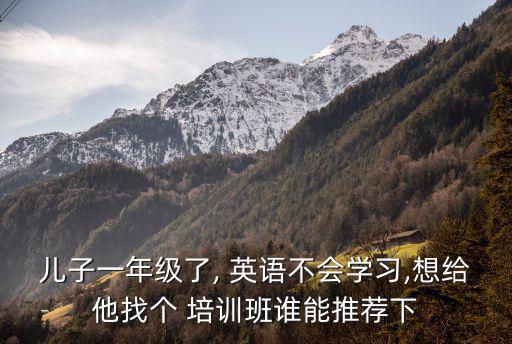 老羅英語培訓官網,學英語需要語言環境避免學中式英語