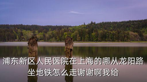 浦東新區(qū)人民醫(yī)院在上海的哪從龍陽路坐地鐵怎么走謝謝啊我給