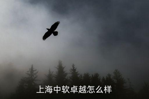 上海市中海卓越，上海卓越教育的師資力量怎么樣語(yǔ)數(shù)英周末輔導(dǎo)哪家好