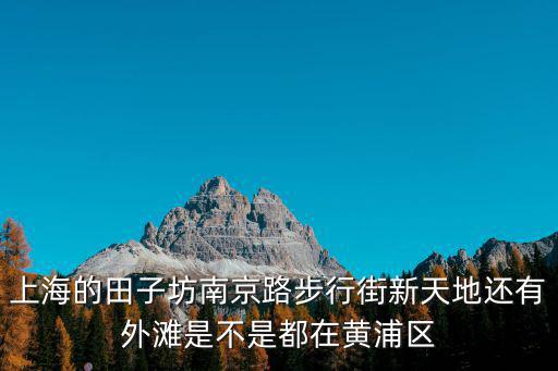 上海的田子坊南京路步行街新天地還有外灘是不是都在黃浦區
