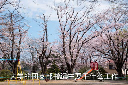 大學團支書的職責，大學團支部書記的職責是什么